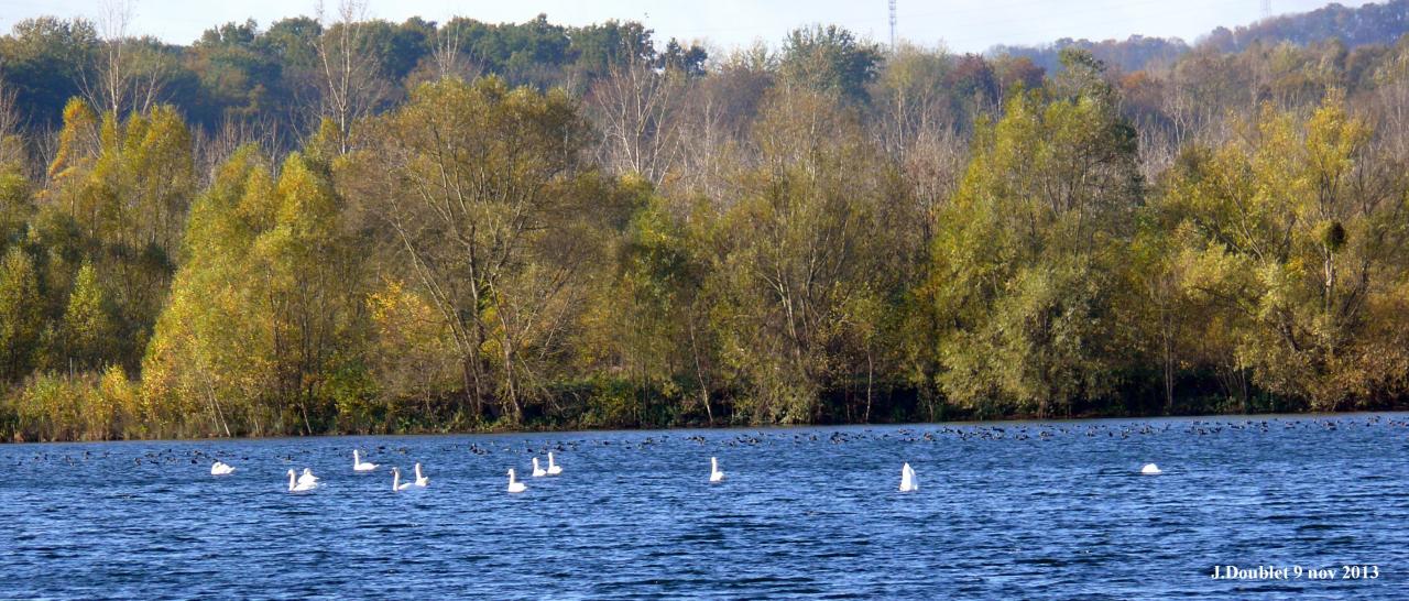 9 Novembre 2013 Etang du karting