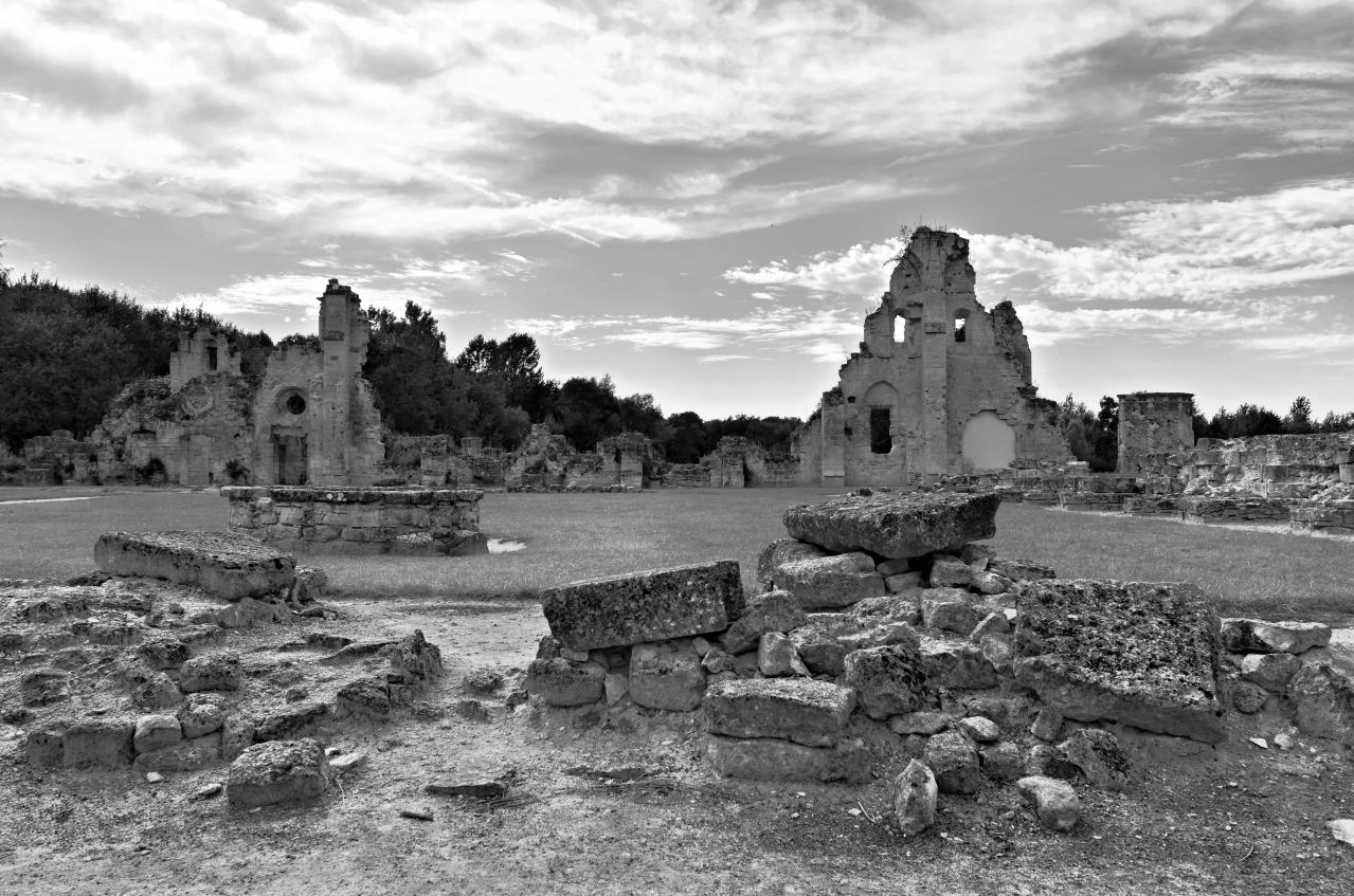 Abbaye de Vauclair 2011 (13)