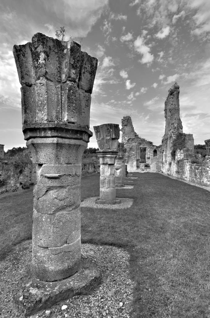 Abbaye de Vauclair 2011 (15)
