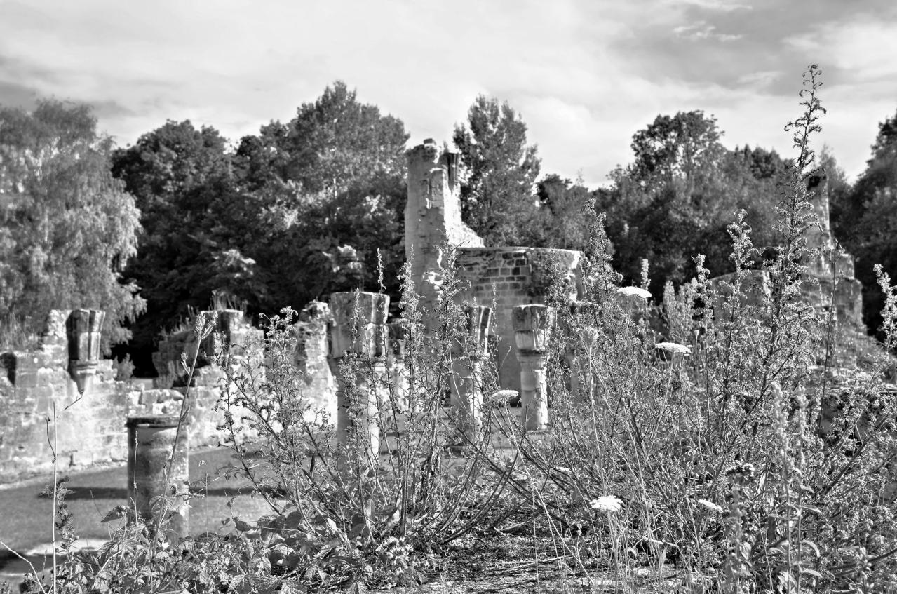 Abbaye de Vauclair 2011 (20)