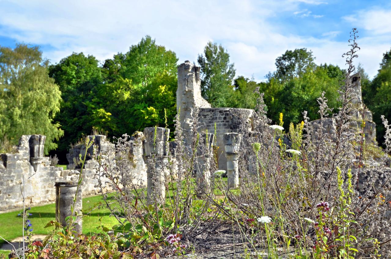 Abbaye de Vauclair 2011 (21)