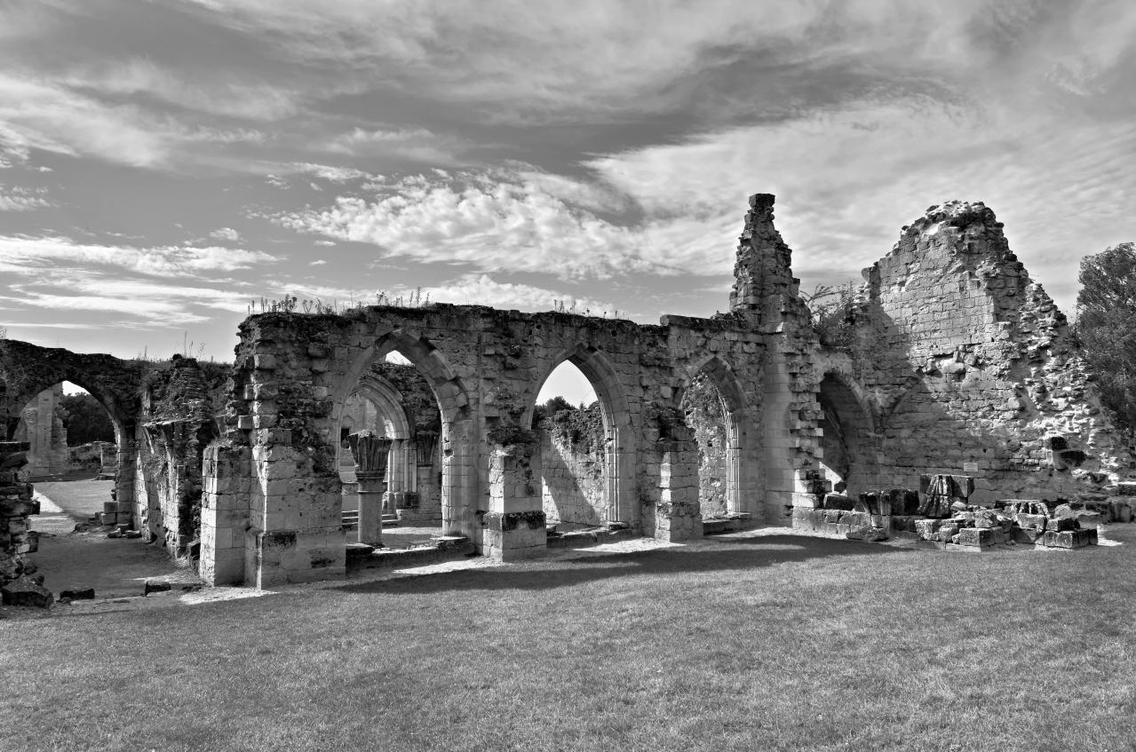 Abbaye de Vauclair 2011 (22)