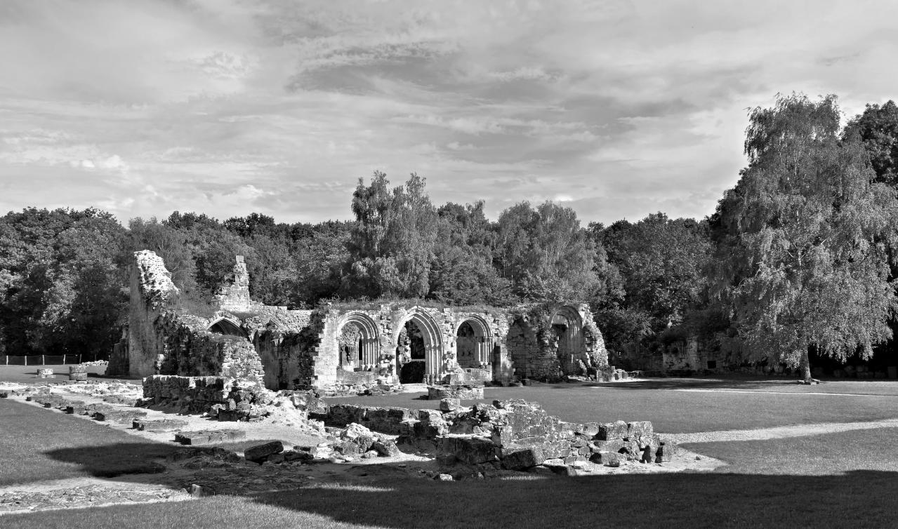 Abbaye de Vauclair 2011 (24)