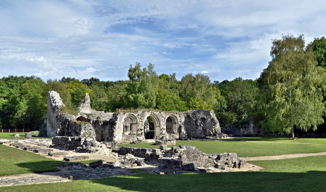 Abbaye de Vauclair 2011 (25)