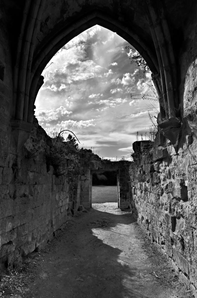 Abbaye de Vauclair 2011 (28)