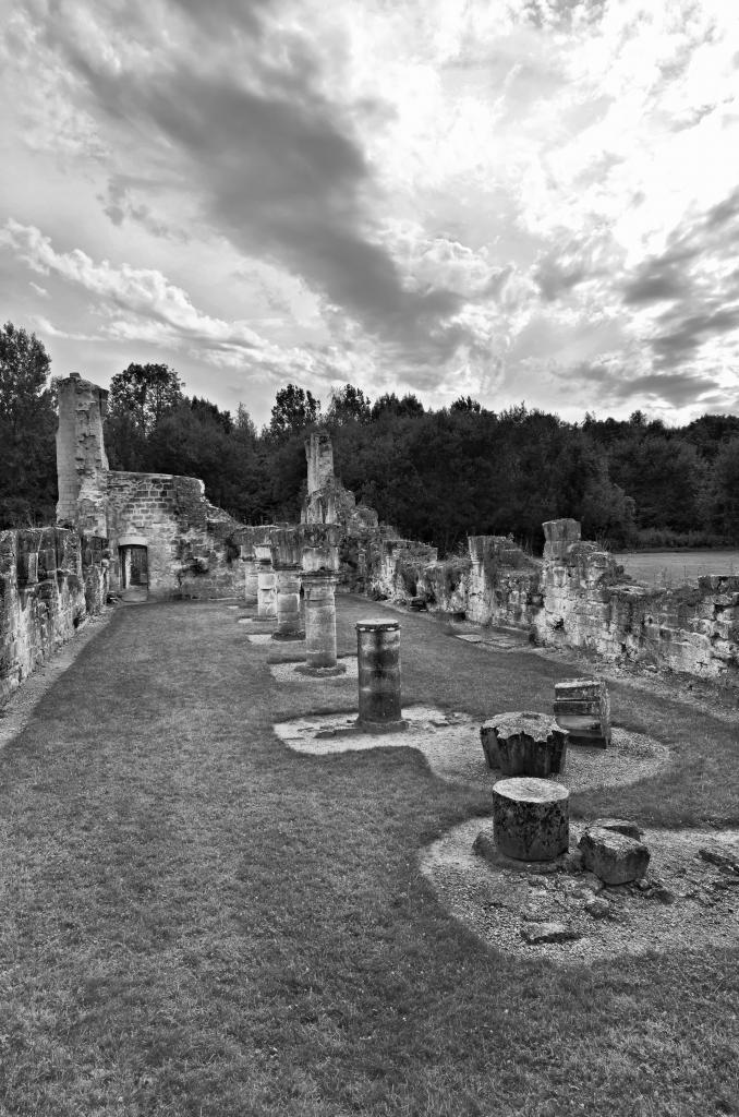 Abbaye de Vauclair 2011 (5)