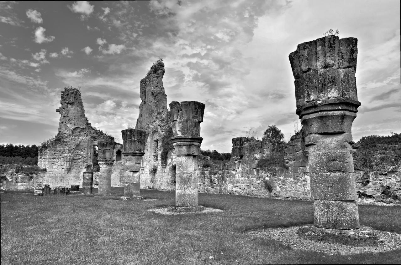 Abbaye de Vauclair 2011 (7)