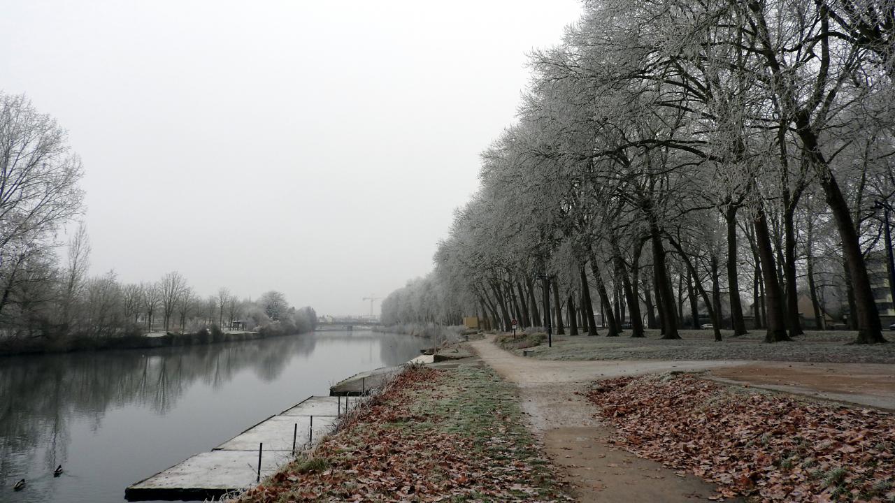 Au bord de l'Aisne  31122016 (2)