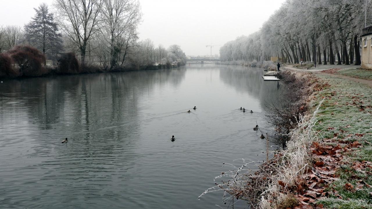 Au bord de l'Aisne  31122016 (20)