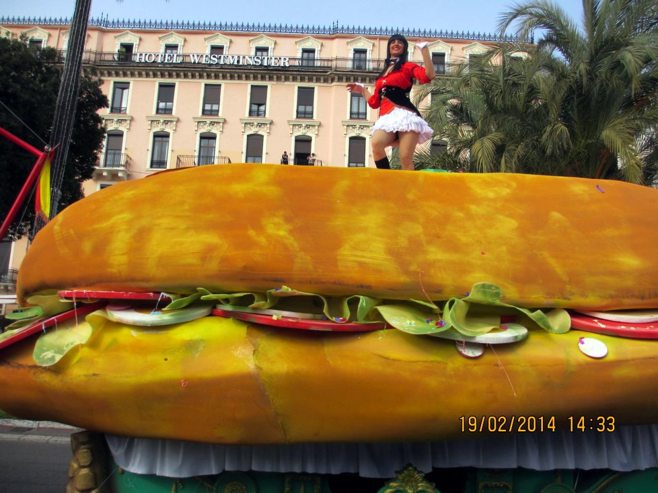 Bataille de fleurs à Nice 2014 (10)