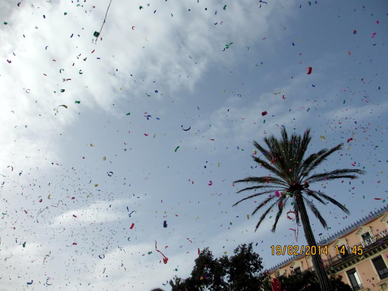 Bataille de fleurs à Nice 2014 (28)
