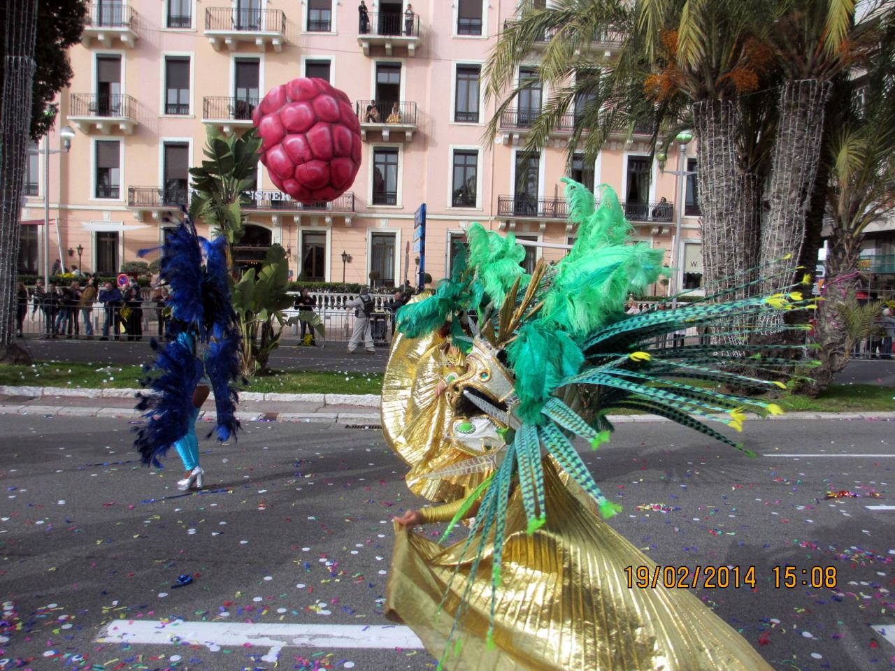Bataille de fleurs à Nice 2014 (46)