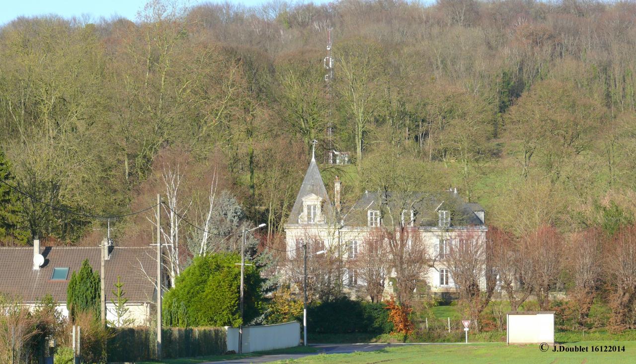 Bucy le 16122014 (Les Egrets)