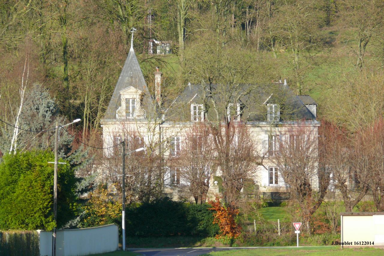 Bucy le 16122014 (Les Egrets)