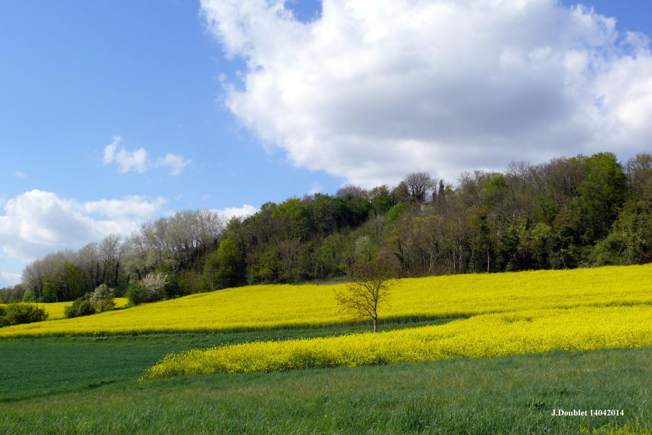 Bucy le long 14 avril 2014 