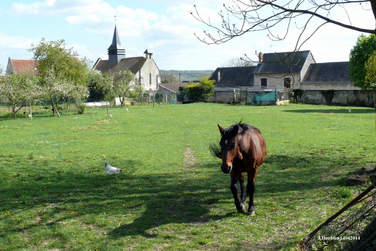 Bucy le long 14 avril 2014 