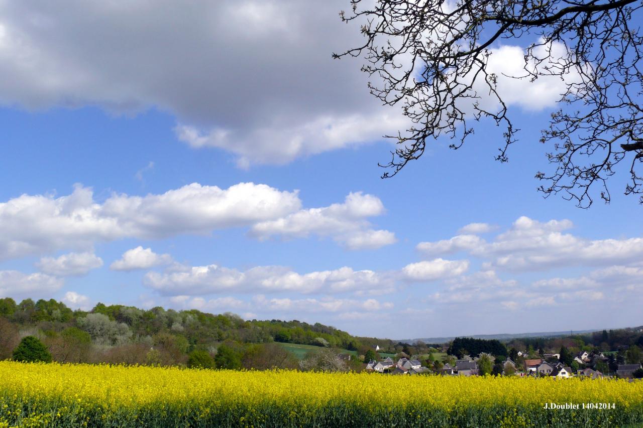 Vue du village (le montcel) Bucy le long 14 avril 2014 