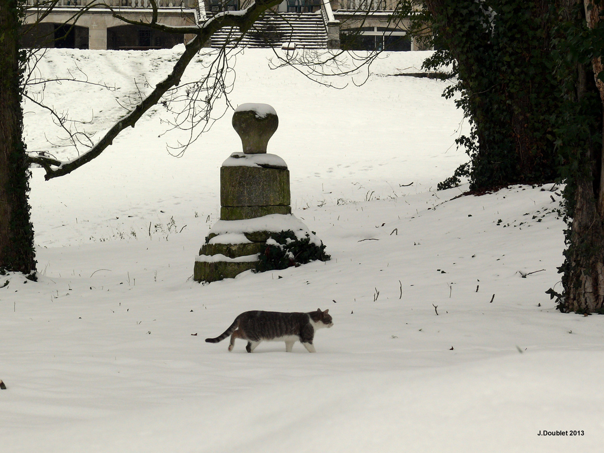 Bucy le Long 21 Janvier 2013  