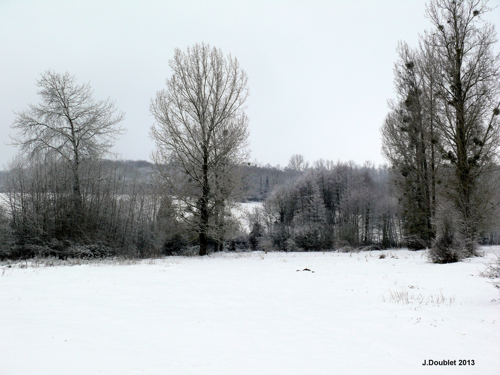 Bucy le Long 22 Janvier 2013  