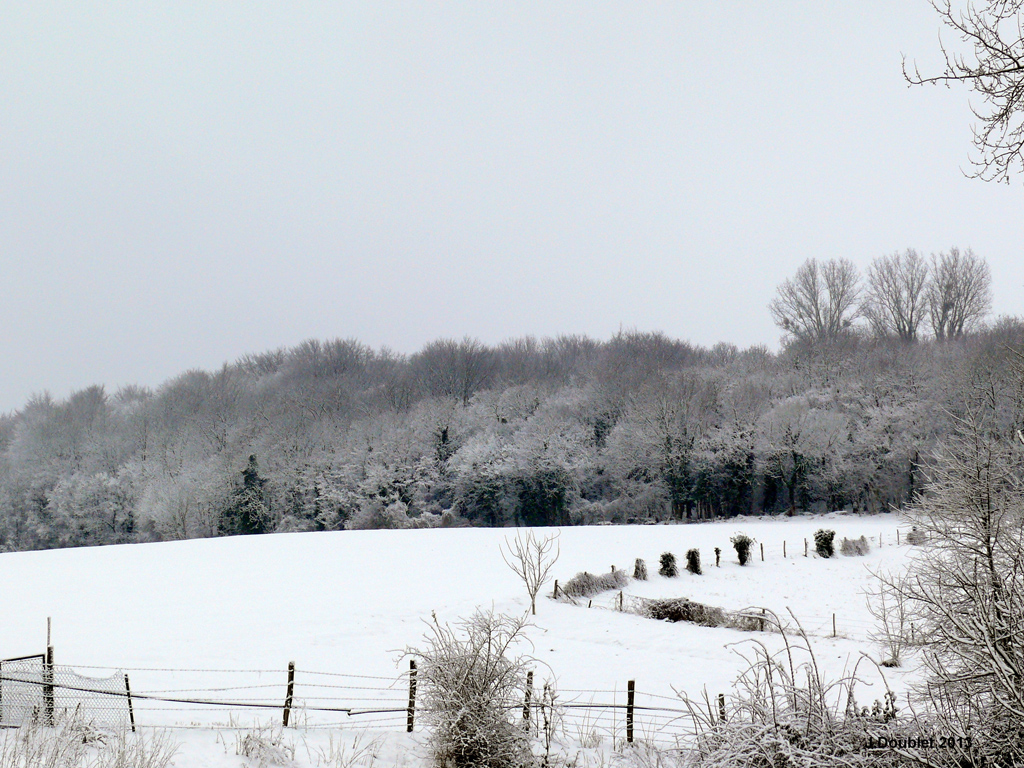 Bucy le Long 22 Janvier 2013 