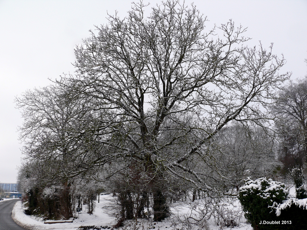 Bucy le Long 22 Janvier 2013  