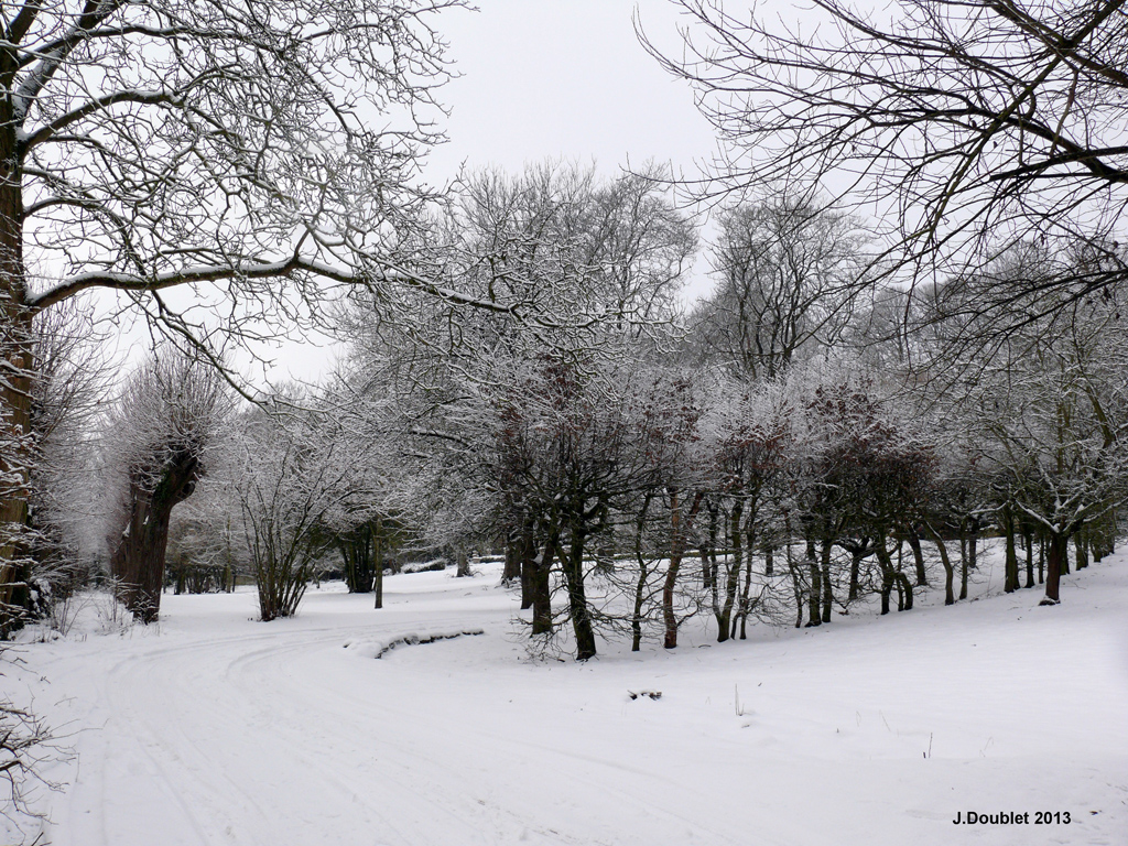 Bucy le Long 22 Janvier 2013  