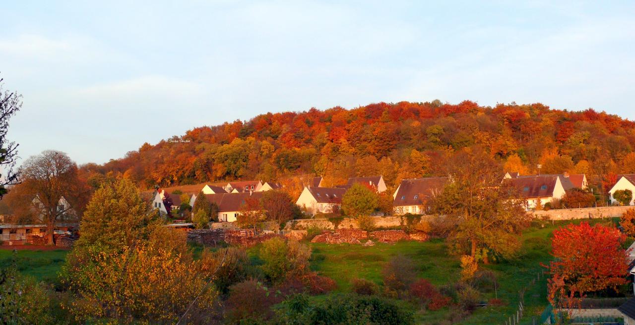 Paysage d'automne