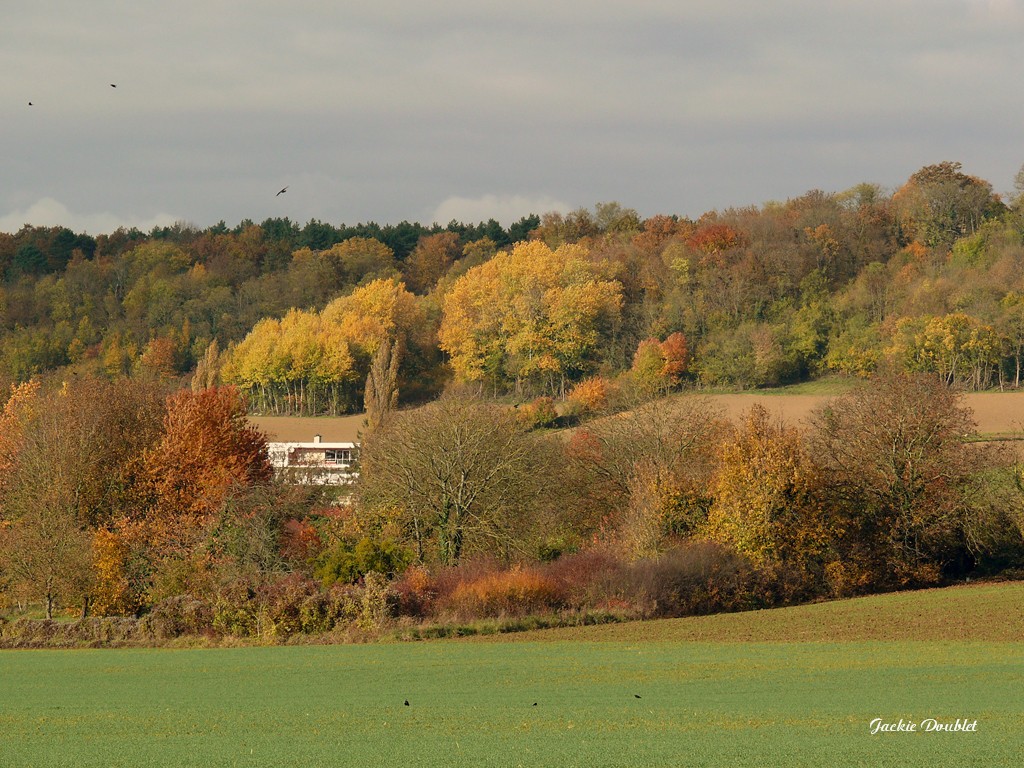 Paysage d'automne