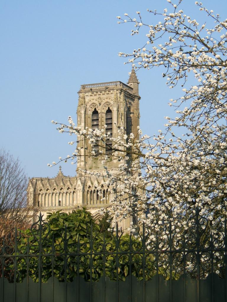 Cathédrale de Soissons