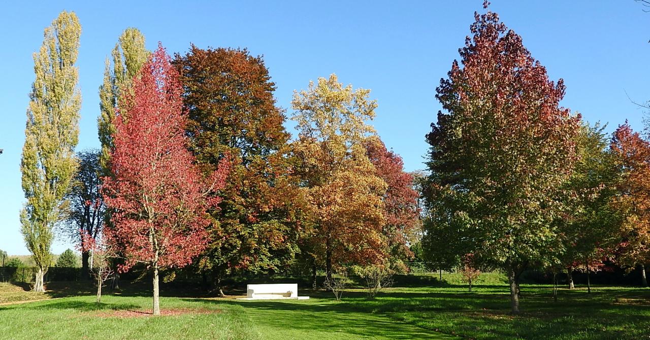 Château Blérancourt (14)