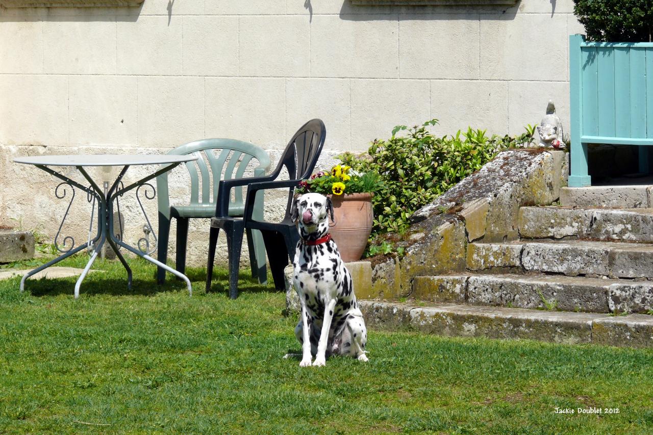 Château de Limé mai 2012 (20)