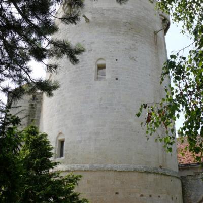 Château et donjon de Droizy (Aisne)