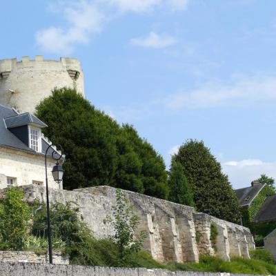 Château et Donjon de Droizy (Aisne)