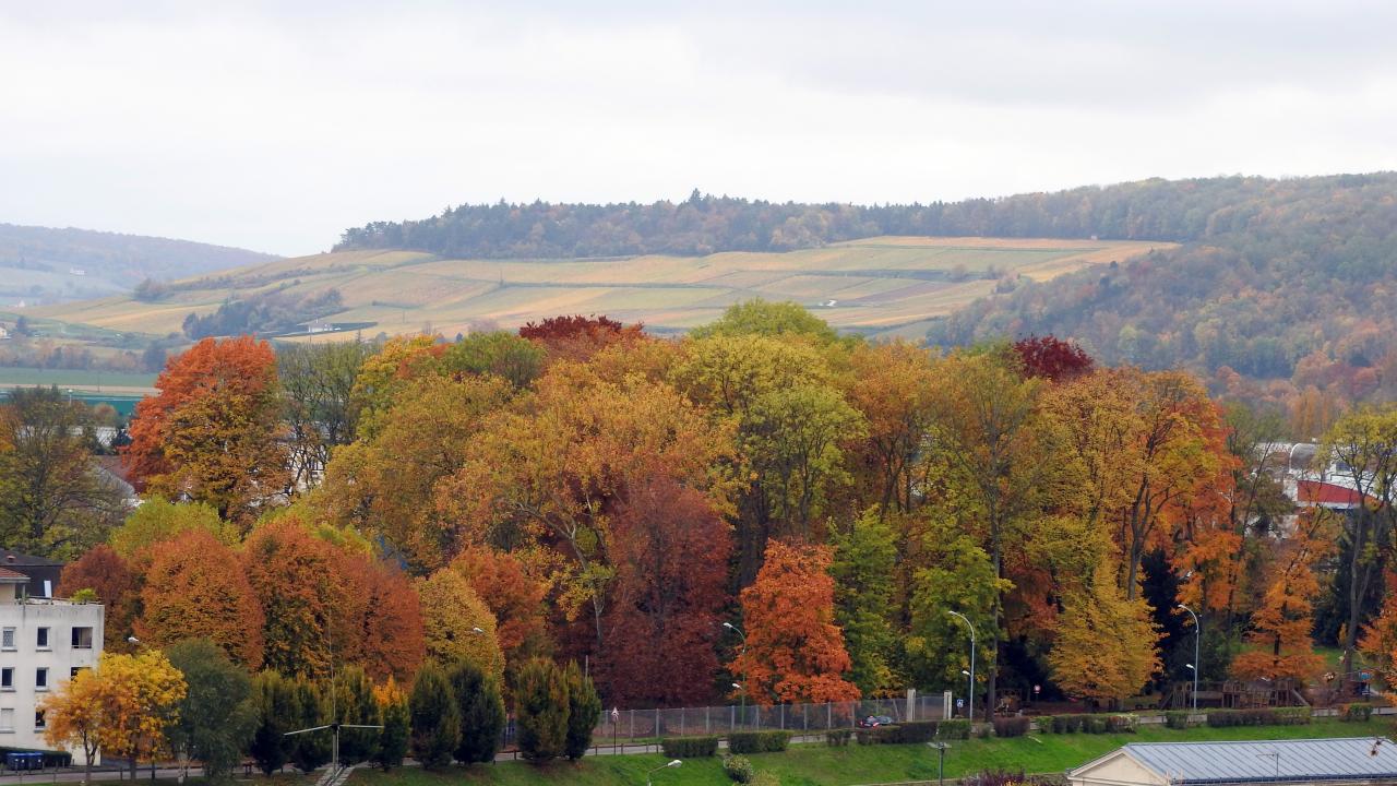 Château Médiéval à Château-Thierry)