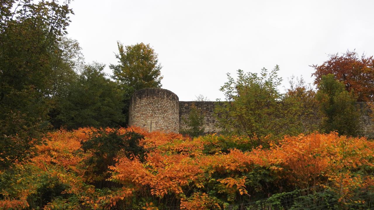 Château Médiéval à Château-Thierry) 