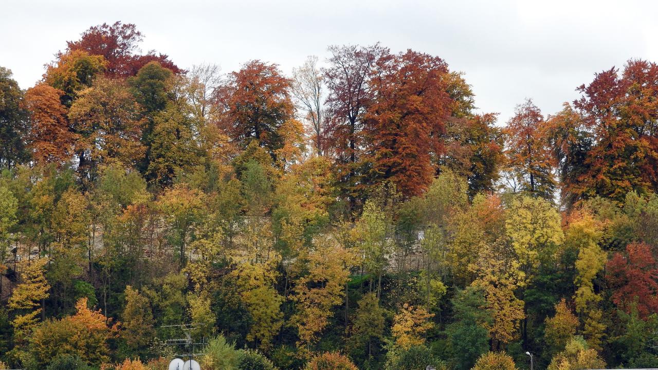 Château Médiéval à Château-Thierry)