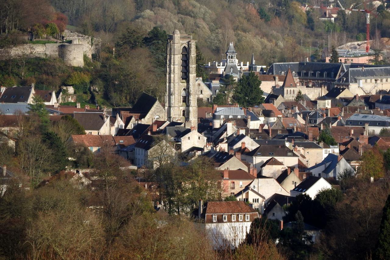 Château-Thierry (vue du Monument Américain) 