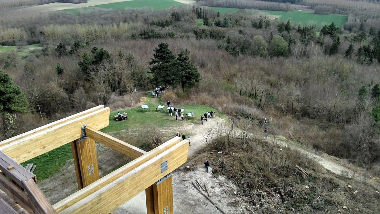 Chemin des Dames et l'observatoire (26)