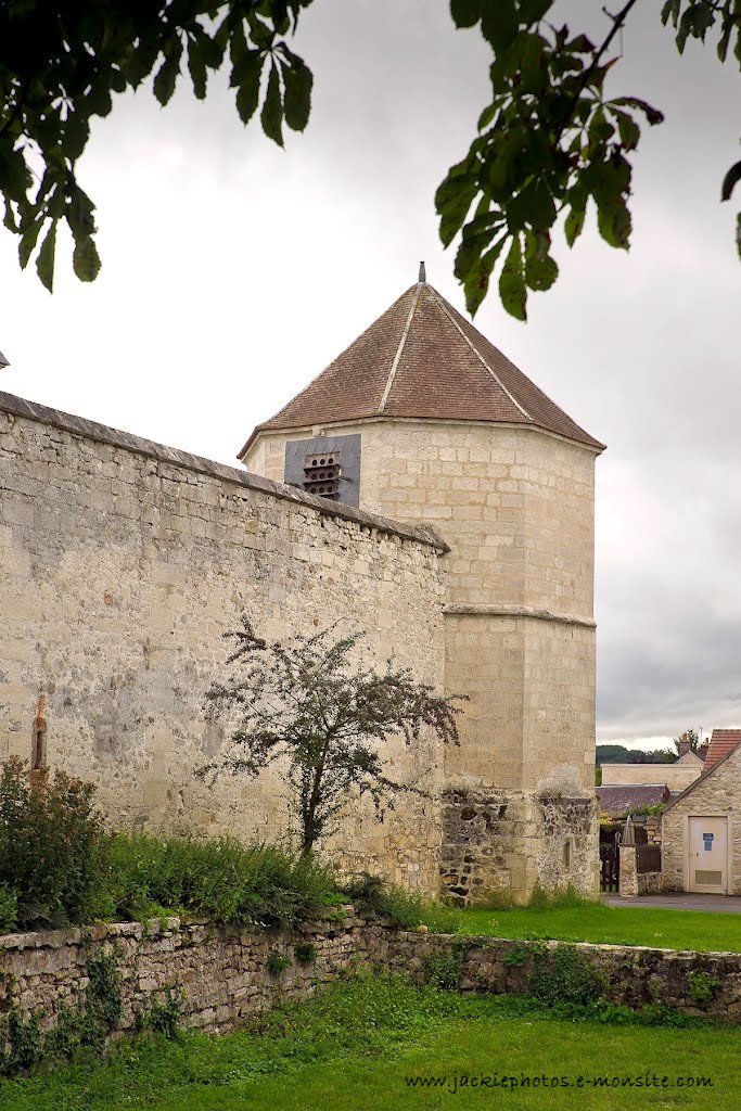 Colombier du château de Coyolles