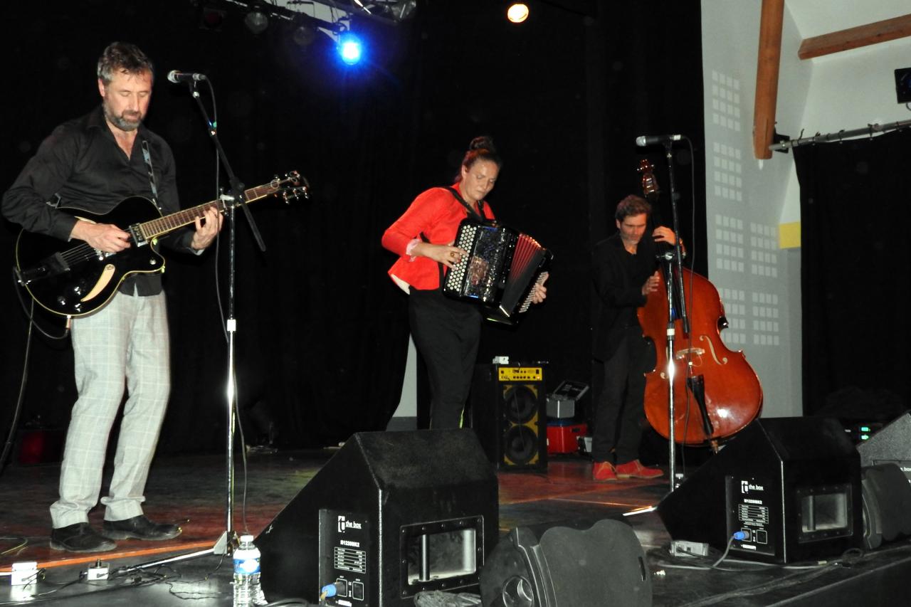 Concert Vailly 09102015