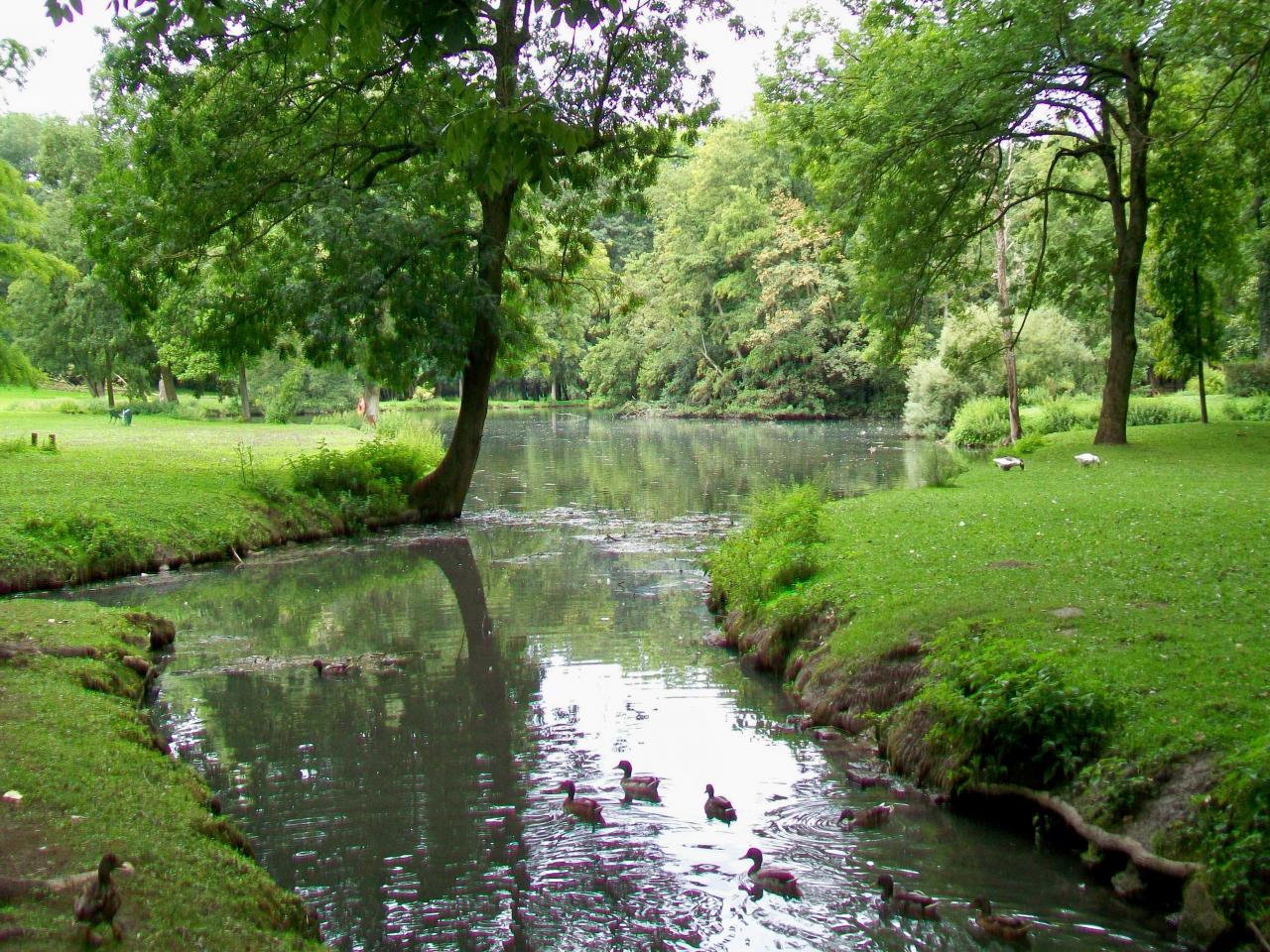 Crépy-en-Valois parc de Geresme,étang