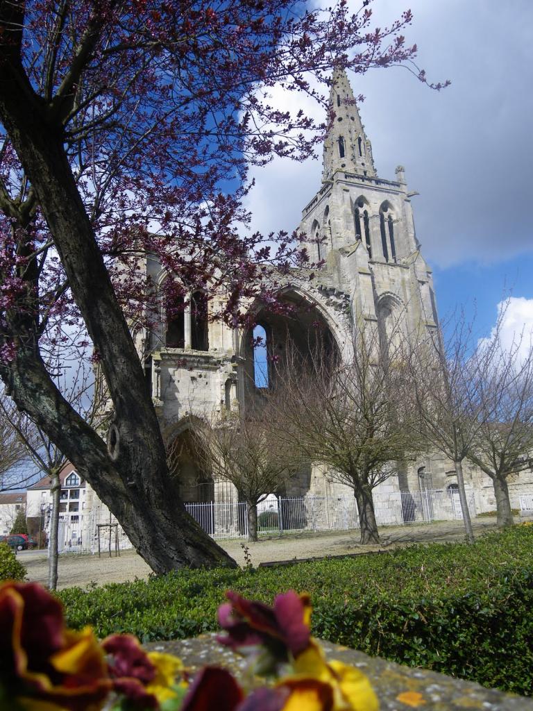 Crépy-en-Valois  ruines de la collégiale Saint-Thomas (1)