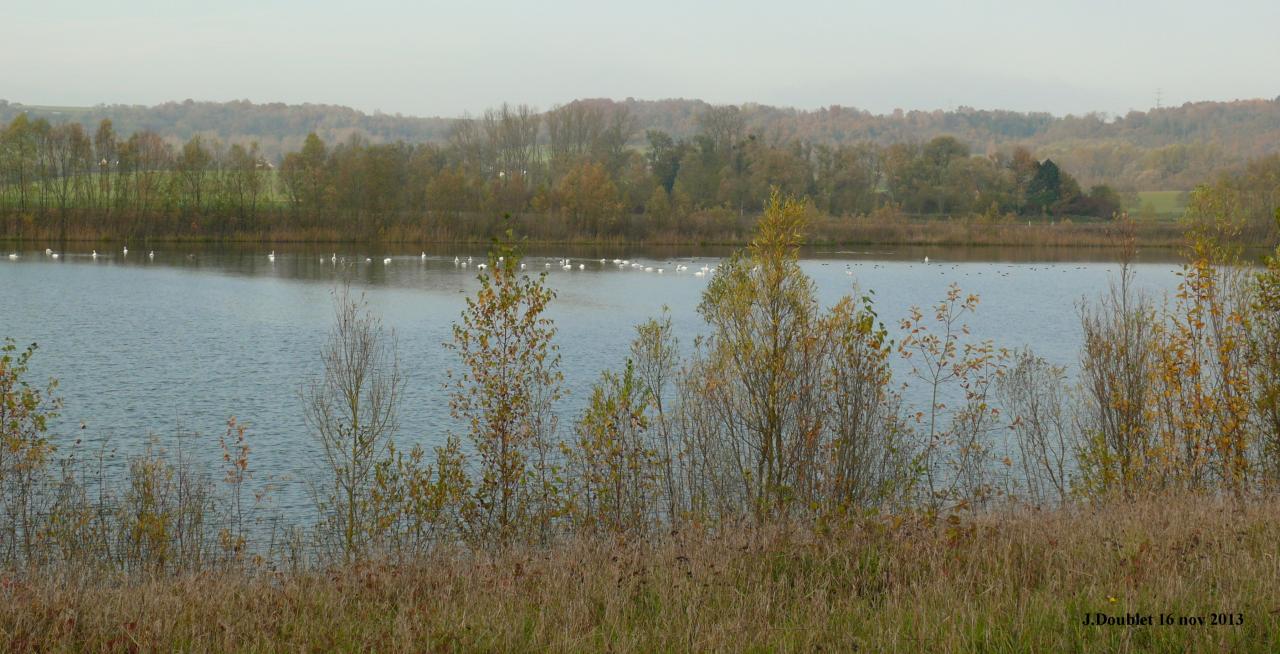 Etang de Bucy le Long 16 nov 2013 (10)