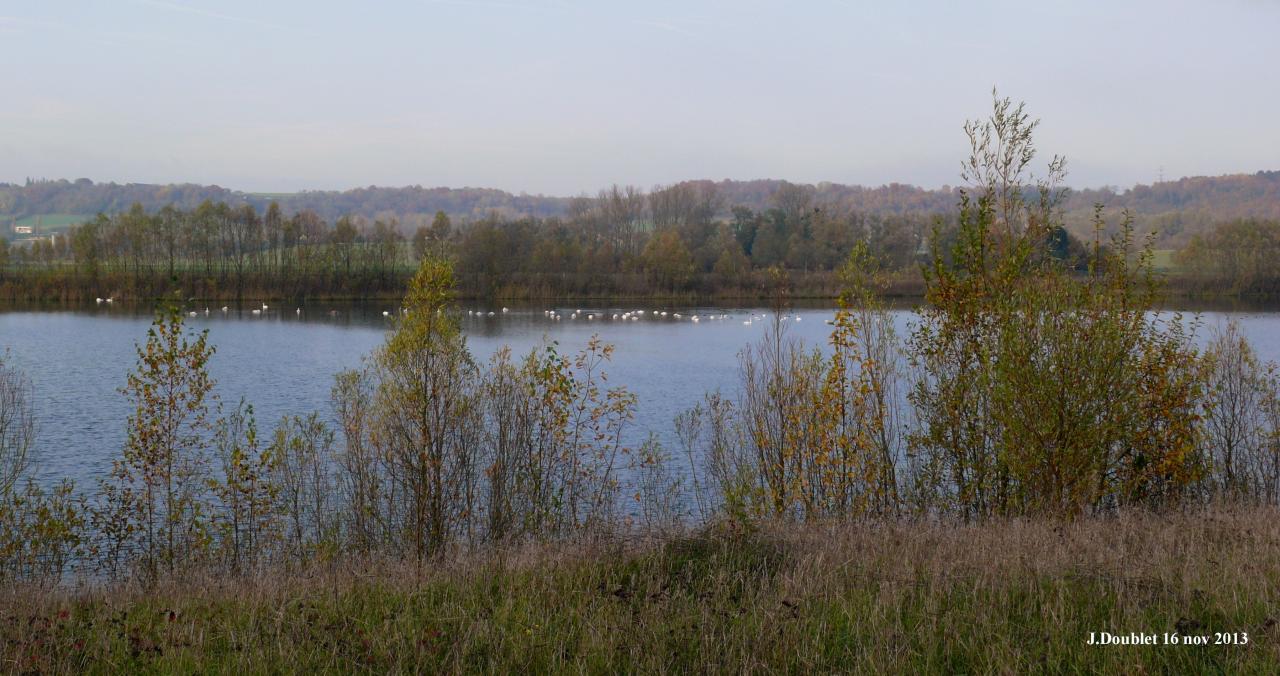 Etang de Bucy le Long 16 nov 2013 (11)