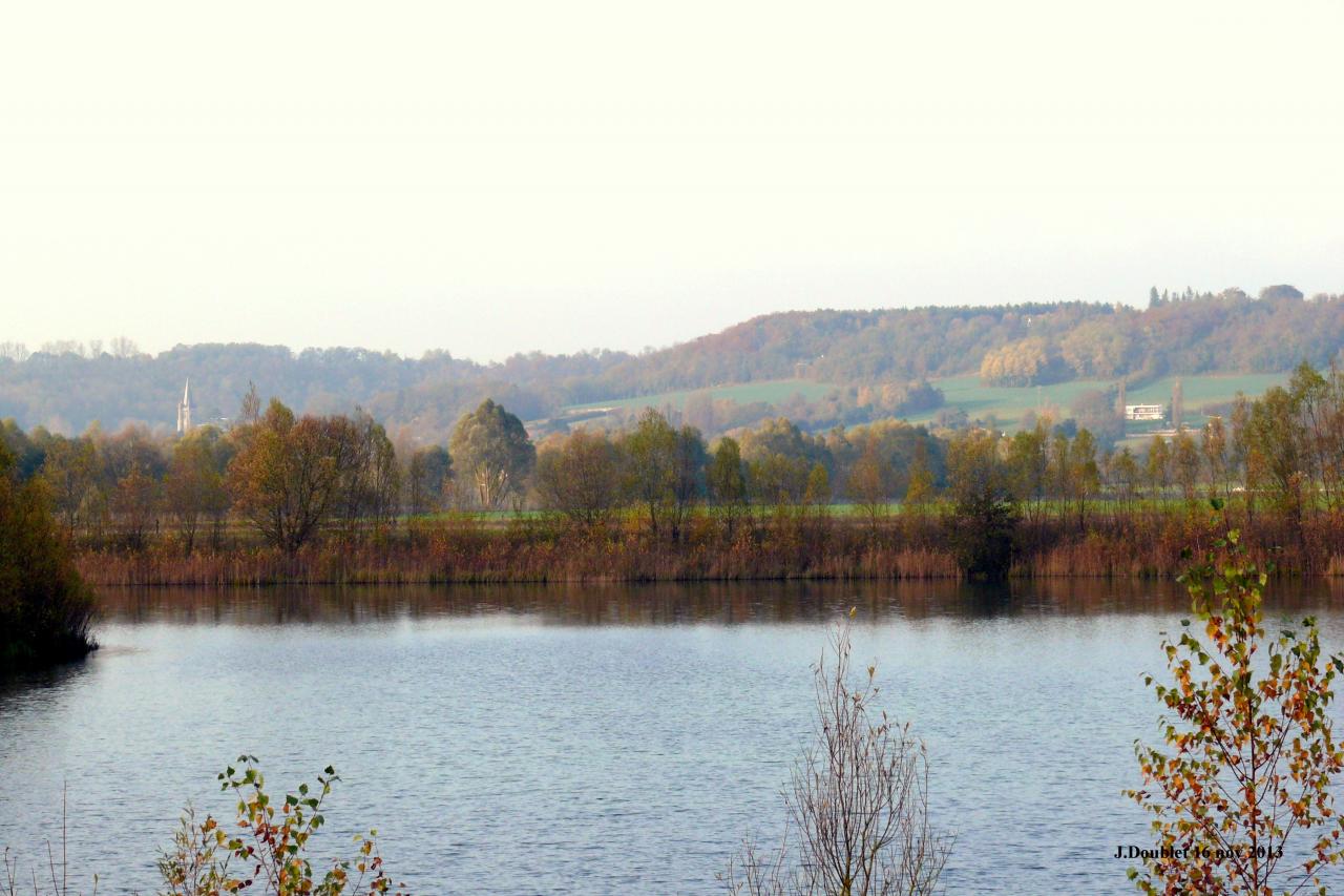 Etang de Bucy le Long 16 nov 2013 (13)