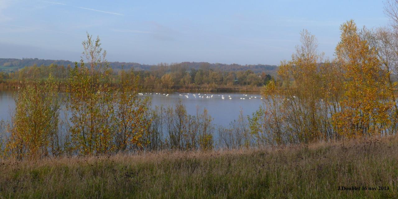 Etang de Bucy le Long 16 nov 2013 (15)