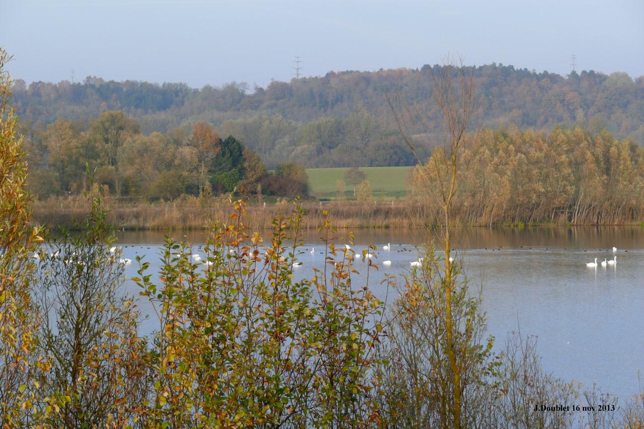 Etang de Bucy le Long 16 nov 2013 (18)