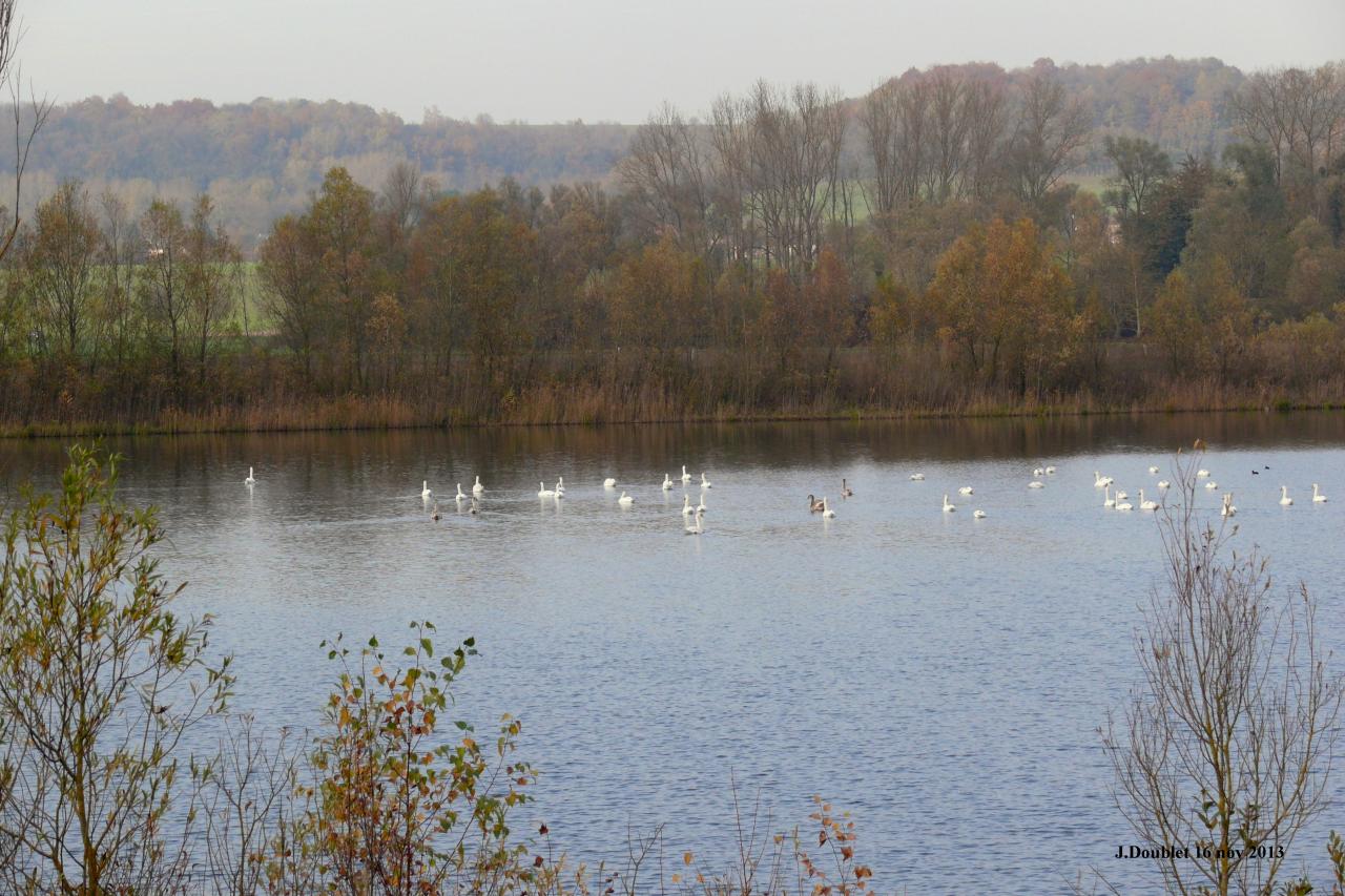 Etang de Bucy le Long 16 nov 2013 (4)