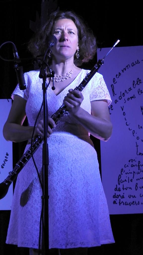 Expo et spectacle du 10 nov 2017 Bucy-le-Long (31)