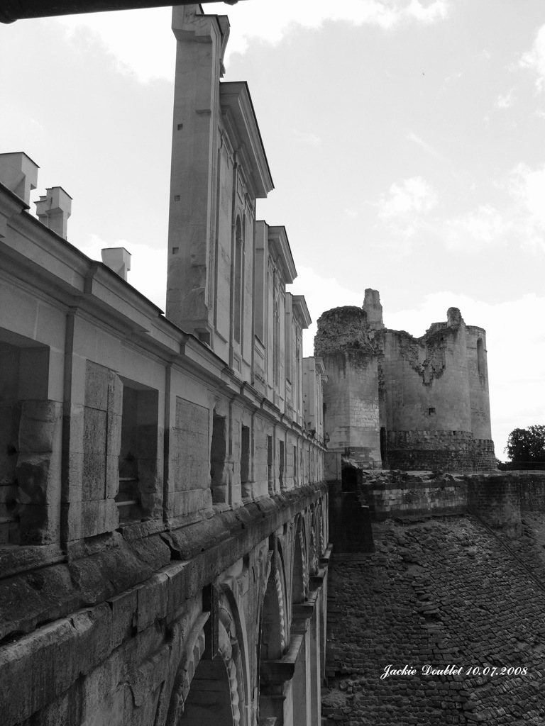 Fère-en-Tardenois (Château) 10072008 (19)
